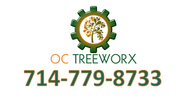 Tree Trimming | Tree Removal | Tree Care | Tree Service Yorba Linda, CA